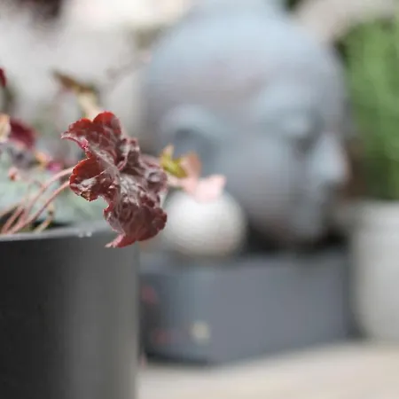 Exklusive Designferienwohnung The Backyard Tby 02 *