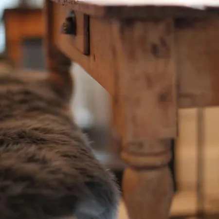 Lejlighed Exklusive Designferienwohnung The Backyard Tby 02 Trier