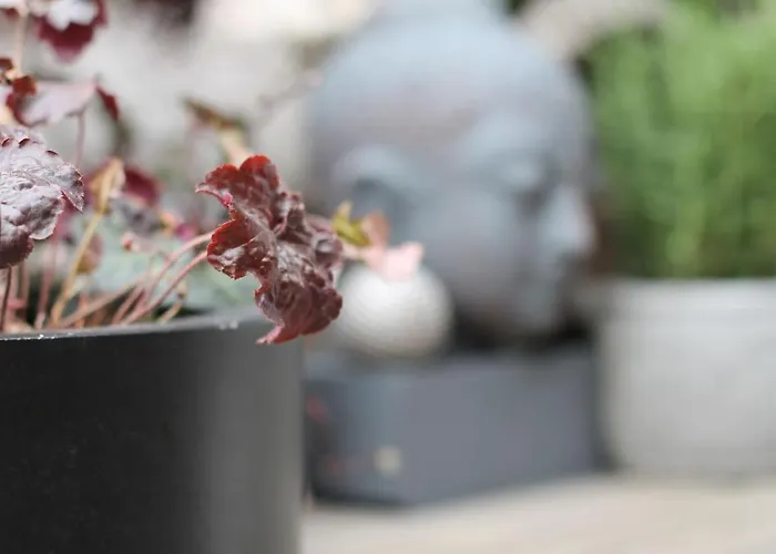 Exklusive Designferienwohnung The Backyard Tby 02 *