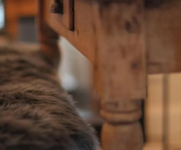 アパート Exklusive Designferienwohnung The Backyard Tby 02 トリーア